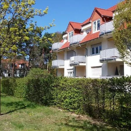 Mit Balkon Fuer Drei Personen Apartment Bad Saarow